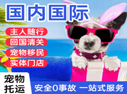 扎兰屯成吉思汗机场托运国际宠物托运 【国